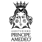 logo_principeamedeo